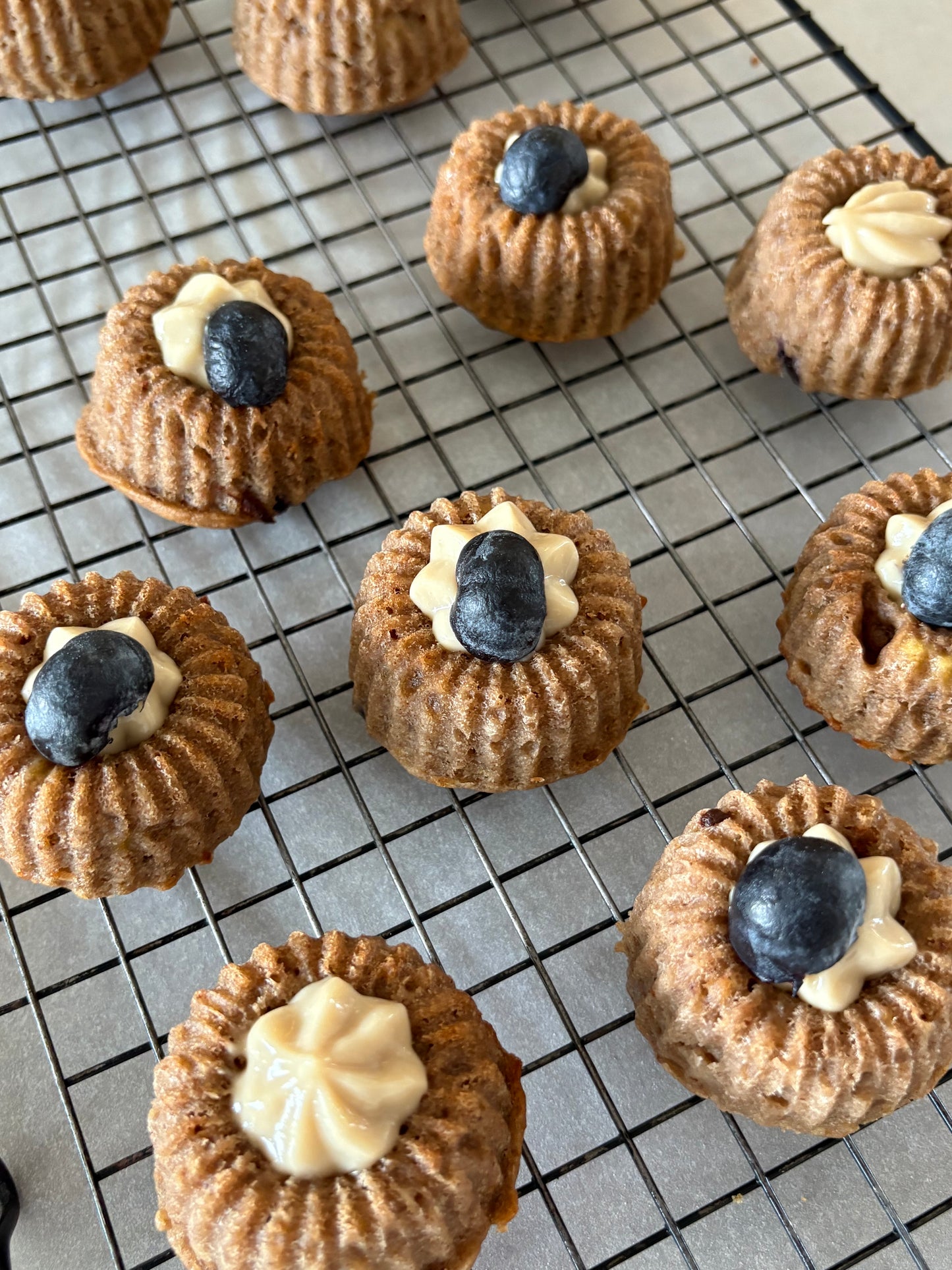 Lemon–Blueberry Sunshine Bites (Mumbai only)